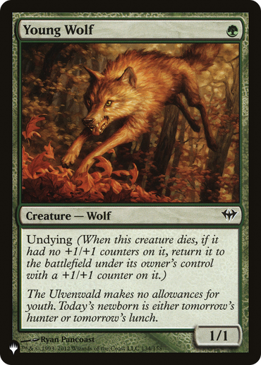 Young Wolf [The List Reprints] 