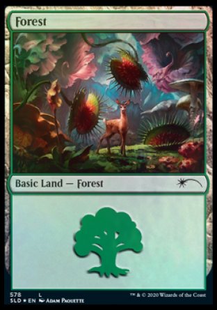 Forest (Predatory) (578) [Secret Lair Drop Promos] 