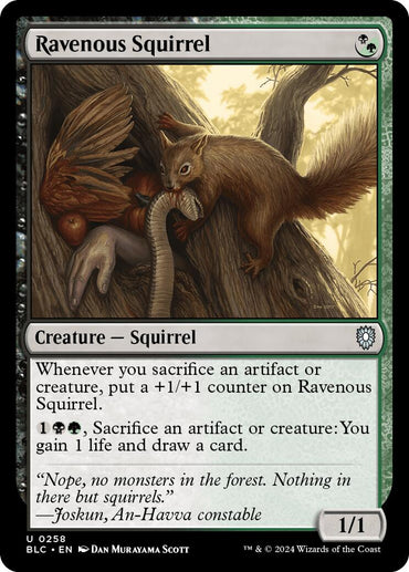 Ravenous Squirrel [Bloomburrow Commander] 