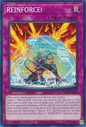REINFORCE! [MP24-EN354] Common 