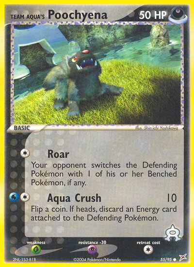 Team Aqua's Poochyena (55/95) [EX: Team Magma vs Team Aqua] 