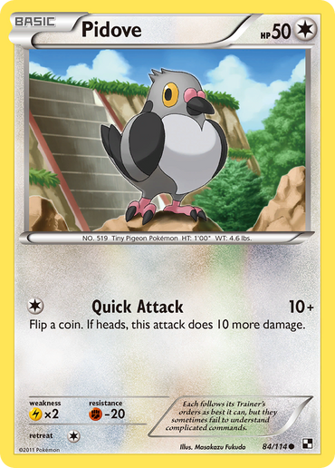 Pidove (84/114) [Black &amp; White: Base Set] 