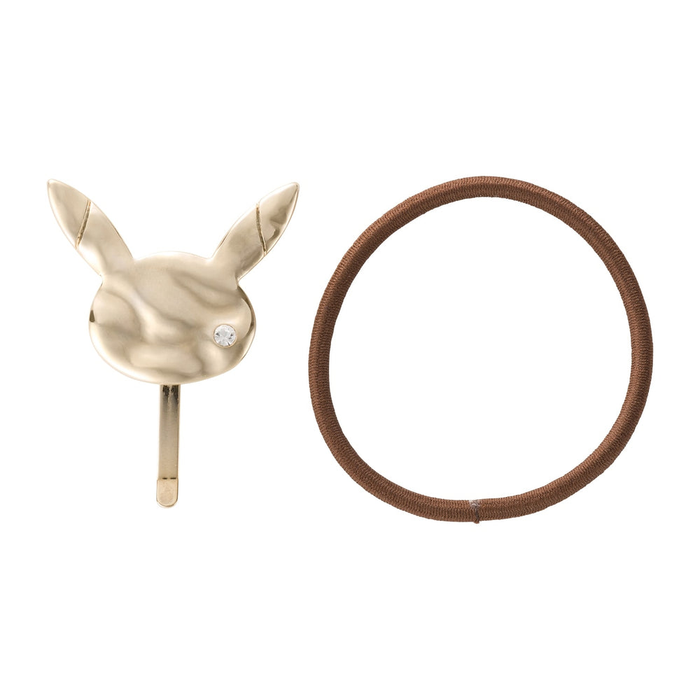 Pokémon accessory H27