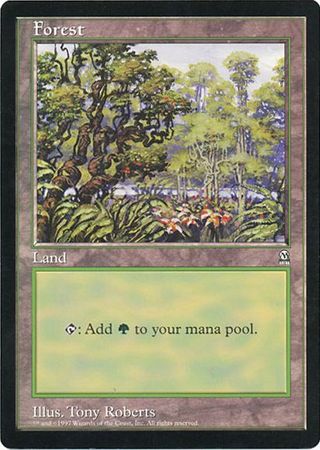 Forest (Oversized) [Oversize Cards] 