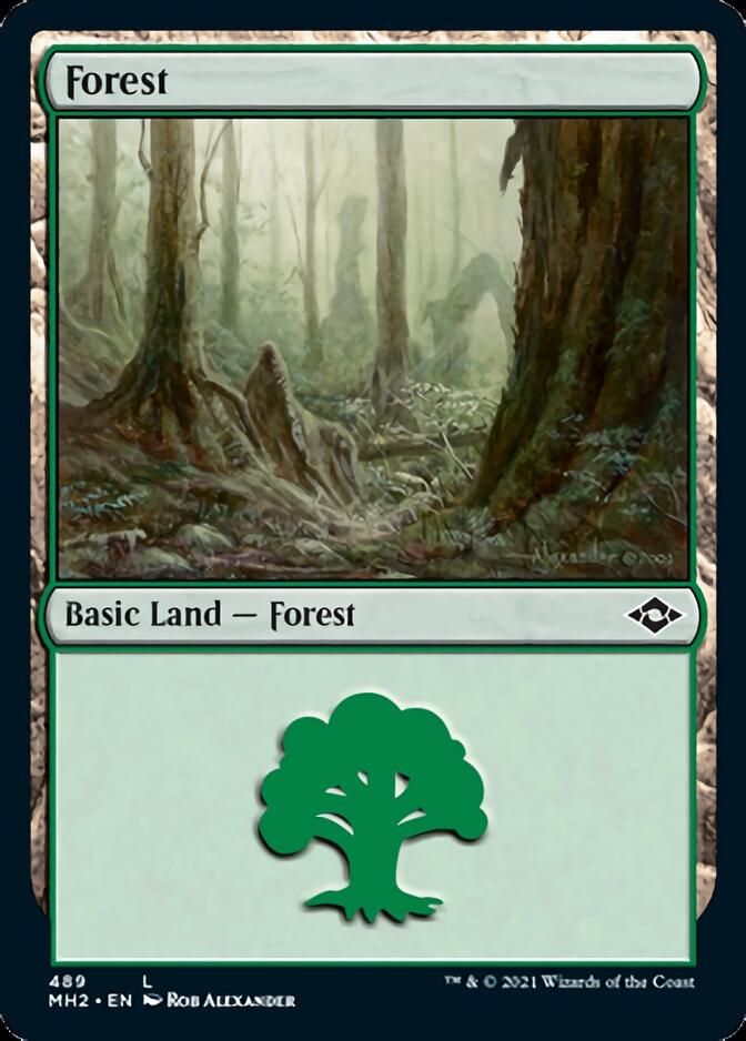 Forest (489) (Foil Etched) [Modern Horizons 2] 