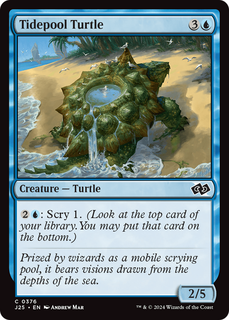 Tidepool Turtle [Foundations Jumpstart] 