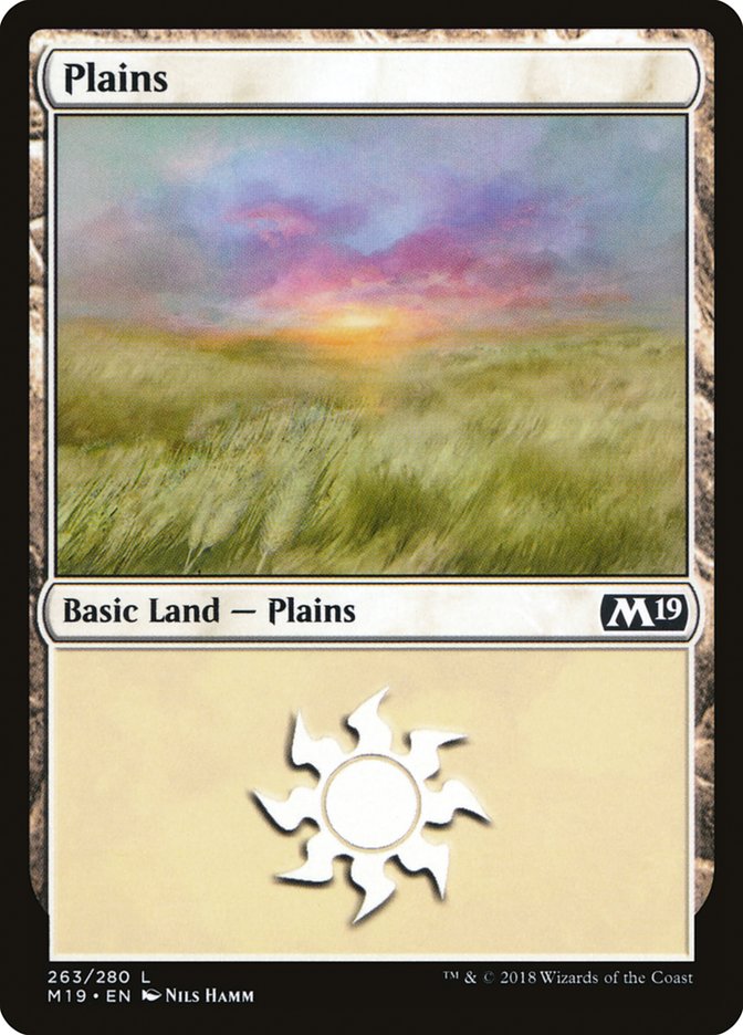 Plains (263) [Core Set 2019] 