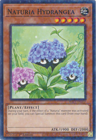 Naturia Hydrangea (Duel Terminal) [HAC1-EN107] Common 