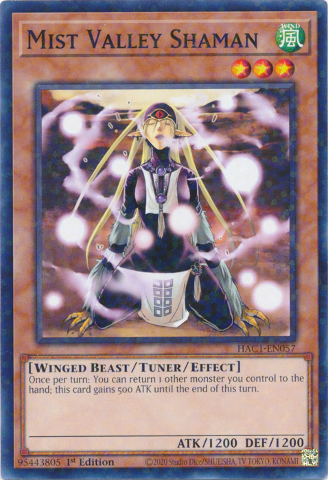 Mist Valley Shaman (Duel Terminal) [HAC1-EN057] Common 