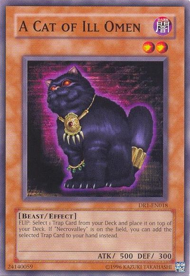 A Cat of Ill Omen [DR1-EN018] Common 