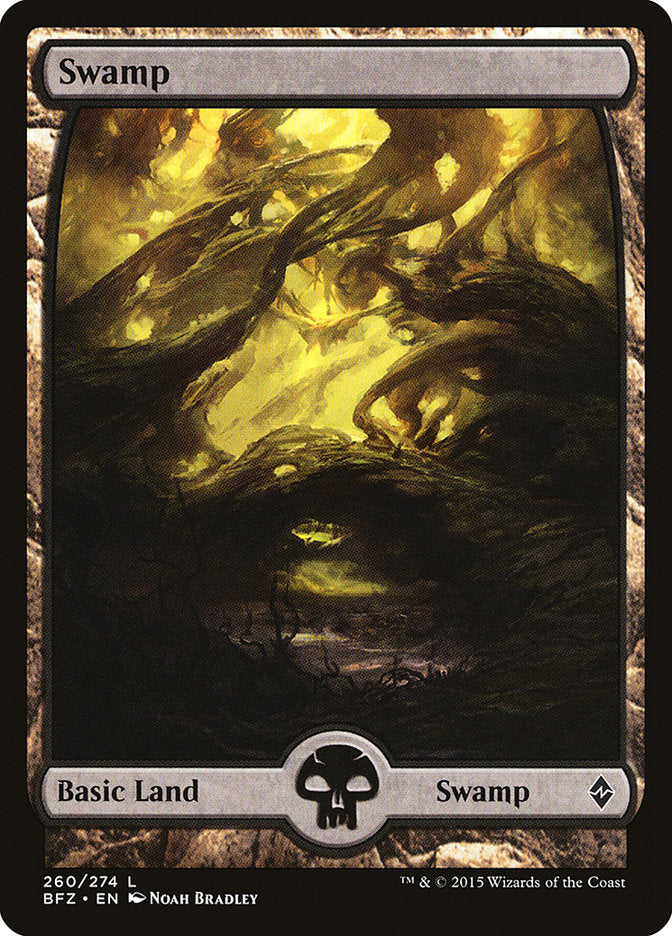 Swamp (260) (Full Art) [Battle for Zendikar] 