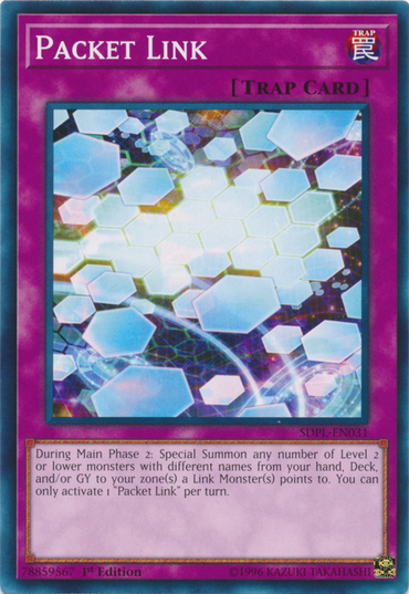 Packet Link [SDPL-EN031] Common 