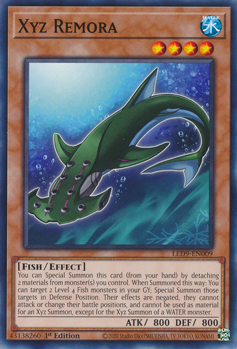 Xyz Remora [LED9-EN009] Common 