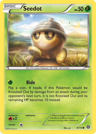 Seedot (9/114) [XY: Steam Siege]