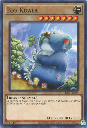 Big Koala (25th Anniversary) [IOC-EN004] Common 