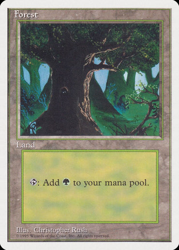 Forest (Creature in Tree Hole) [Rivals Quick Start Set] 