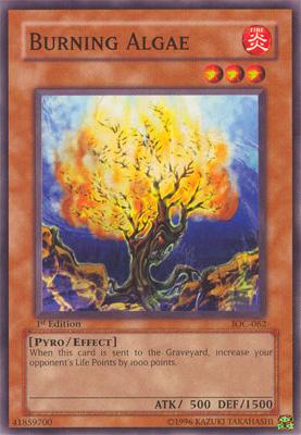 Burning Algae [IOC-062] Common 