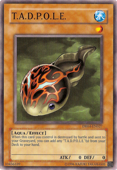 TADPOLE [DR04-EN027] Common 