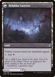 Pelakka Predation // Pelakka Caverns [Zendikar Rising] 