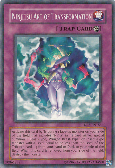 Ninjitsu Art of Transformation [DR2-EN164] Common 