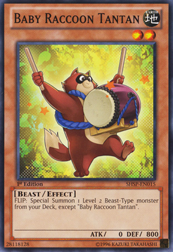 Baby Raccoon Tantan [SHSP-EN015] Common 