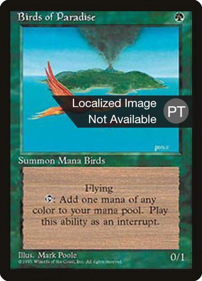 Birds of Paradise [Fourth Edition (Foreign Black Border)] 