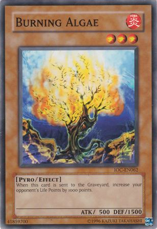 Burning Algae [IOC-EN062] Common 