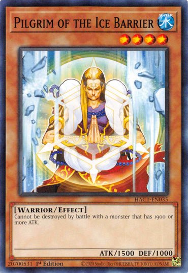 Pilgrim of the Ice Barrier [HAC1-EN035] Common 
