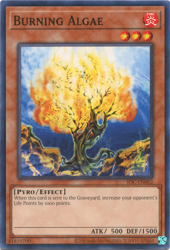 Burning Algae (25th Anniversary) [IOC-EN062] Common 