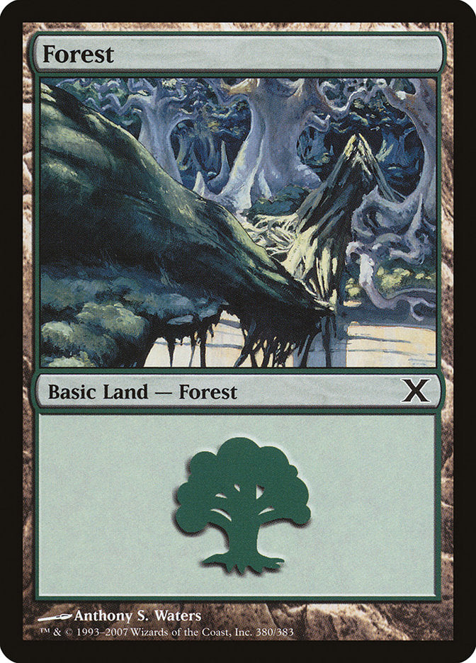 Forest (380) [Tenth Edition] 