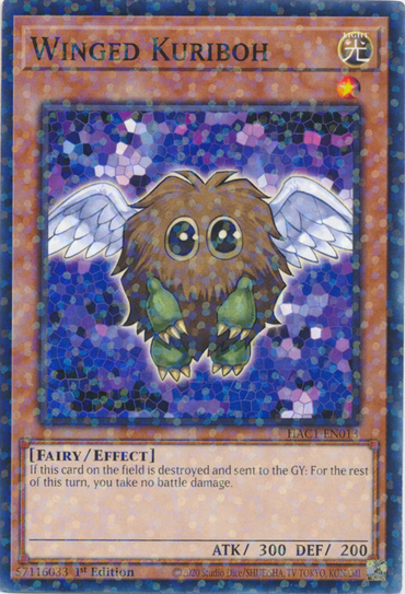 Winged Kuriboh (Duel Terminal) [HAC1-EN013] Common 
