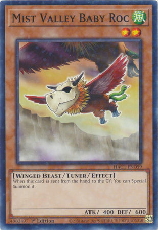 Mist Valley Baby Roc (Duel Terminal) [HAC1-EN059] Common 