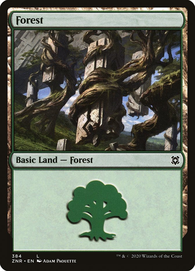 Forest (384) [Zendikar Rising] 