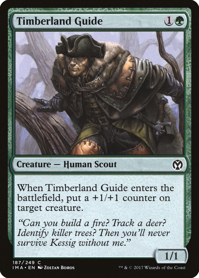 Timberland Guide [Iconic Masters] 