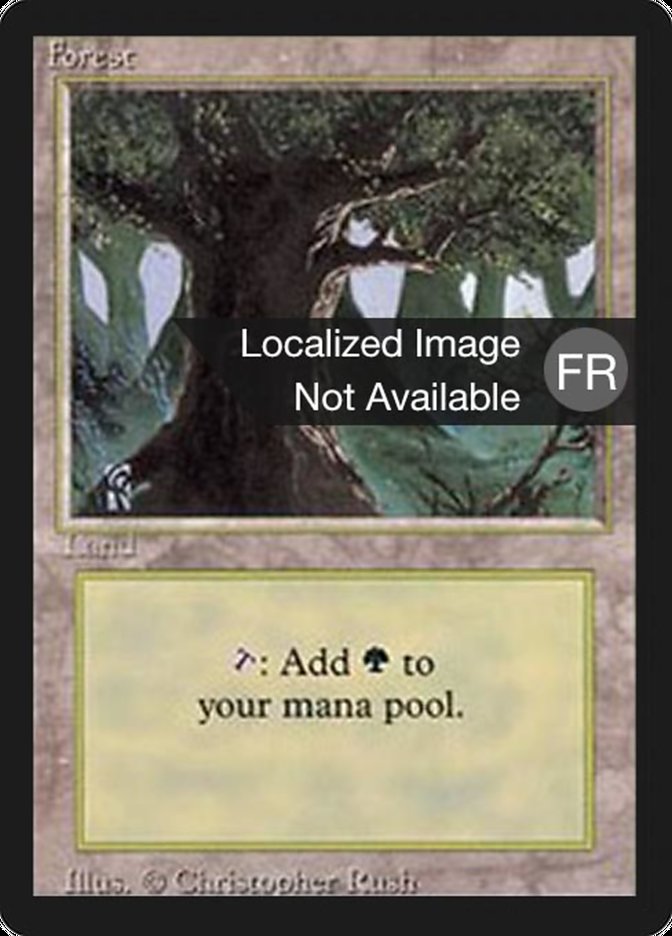 Forest (A) [Foreign Black Border] 