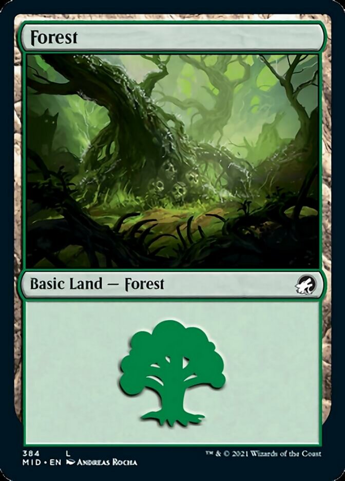 Forest (384) [Innistrad: Midnight Hunt] 