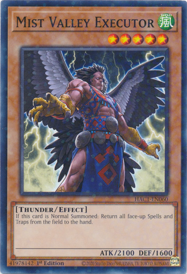 Mist Valley Executor (Duel Terminal) [HAC1-EN060] Common 