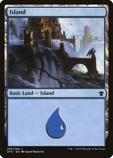 Island (255) [Dragons of Tarkir] 