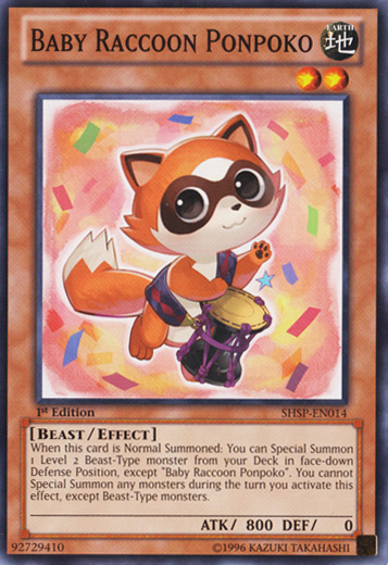 Baby Raccoon Ponpoko [SHSP-EN014] Common 