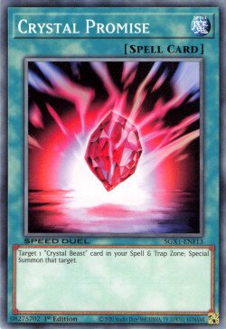 Crystal Promise [SGX1-ENF13] Common 