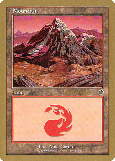 Mountain (tvdl343) (Tom van de Logt) [World Championship Decks 2001] 