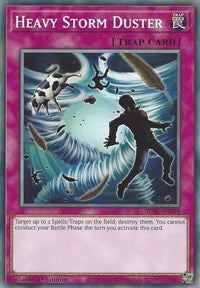 Heavy Storm Duster [SDFC-EN039] Common 