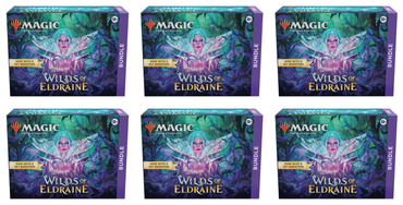 Wilds of Eldraine - Bundle Case 