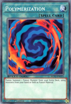 Polymerization [SGX1-ENG11] Common 