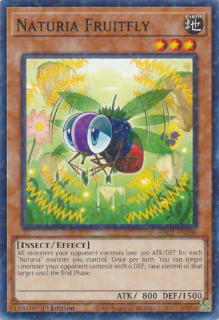 Naturia Fruitfly (Duel Terminal) [HAC1-EN106] Common 