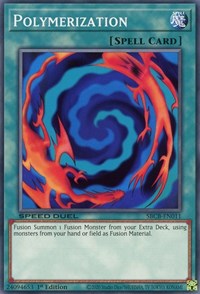 Polymerization [SBCB-EN011] Common 