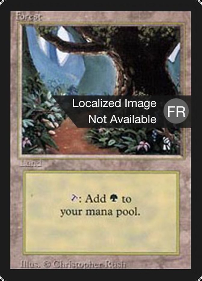 Forest (B) [Foreign Black Border] 